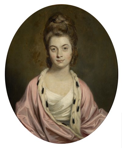 トーマス・ワトキンソン・ペイラー夫人の肖像 作： Joshua Reynolds